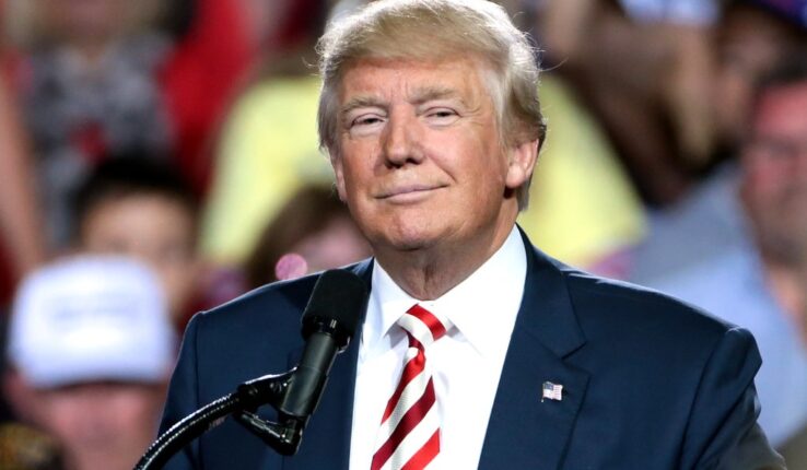 fabricantes trump