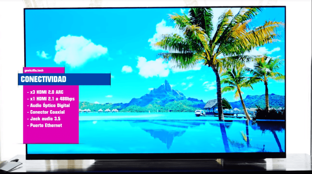 Conectividad LG OLED65E9