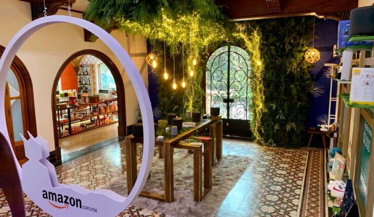Amazon Holiday House