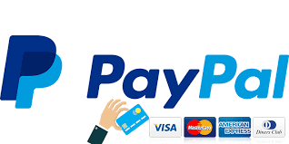 PayPal fin de año