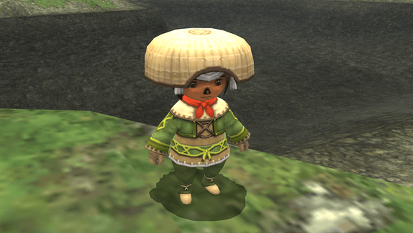  FINAL FANTASY XI