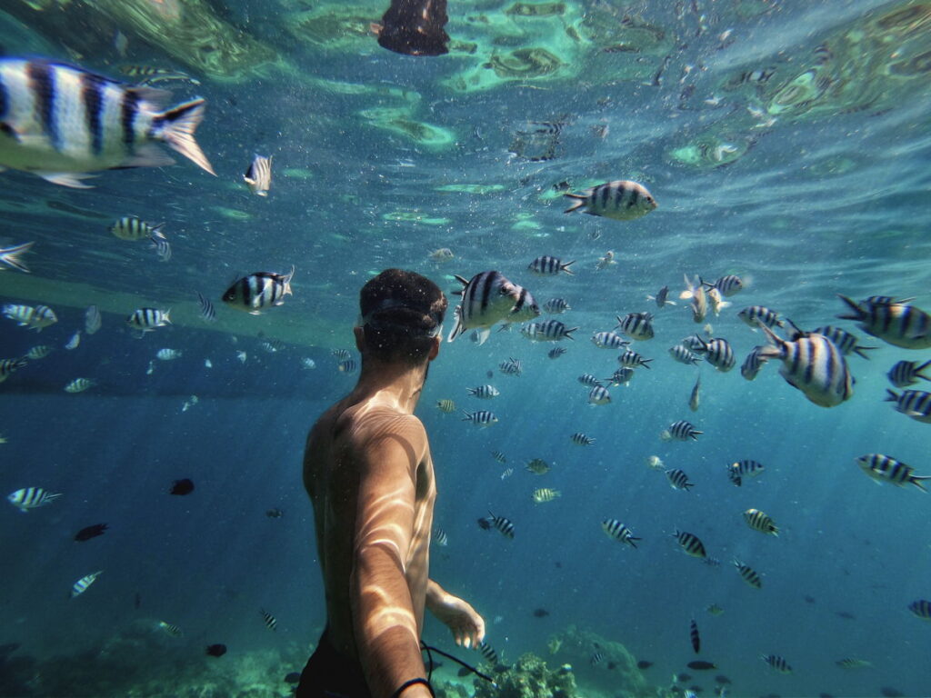 gopro Awards