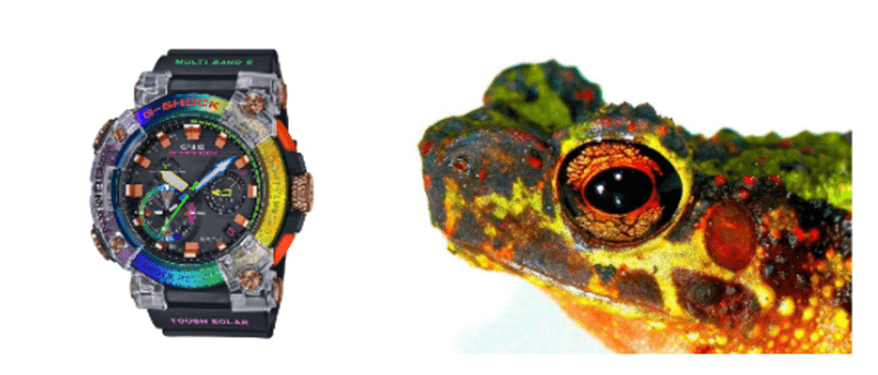 Casio G-Shock 2020