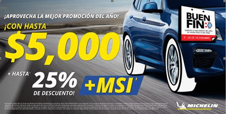 Buen Fin Michelin y BFGoodrich