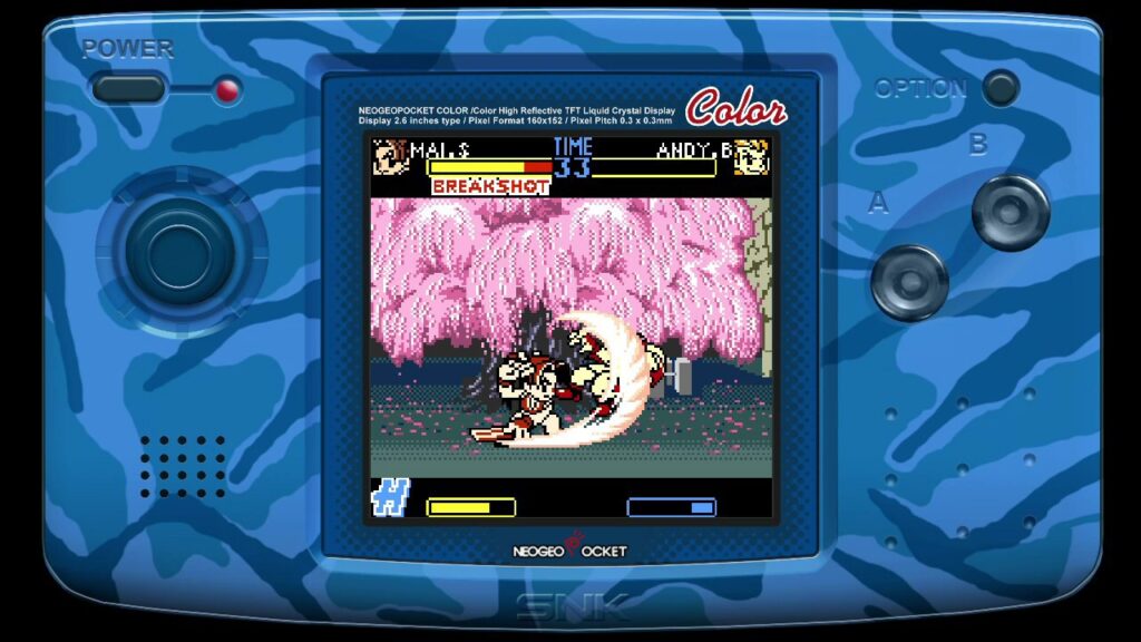 fatal fury 2