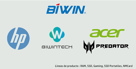 BIWIN 