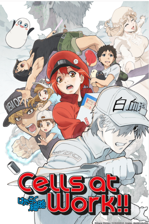  Cells at Work!! Season 2