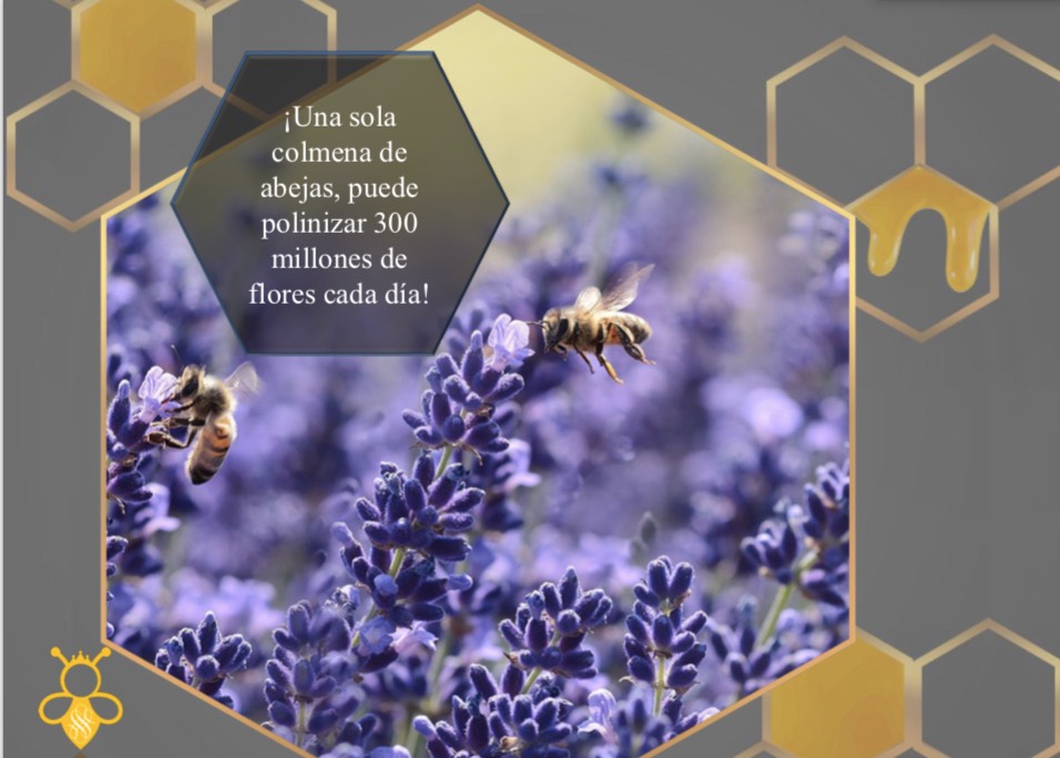 Bee2Be by Epson 2