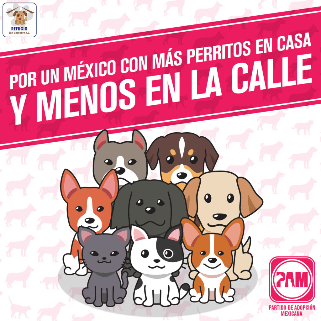 PAM, el Partido de Adopción Mexicana