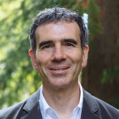Lawrence Levy libro