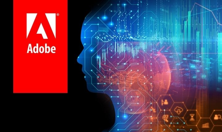 Adobe del Buen fin 1