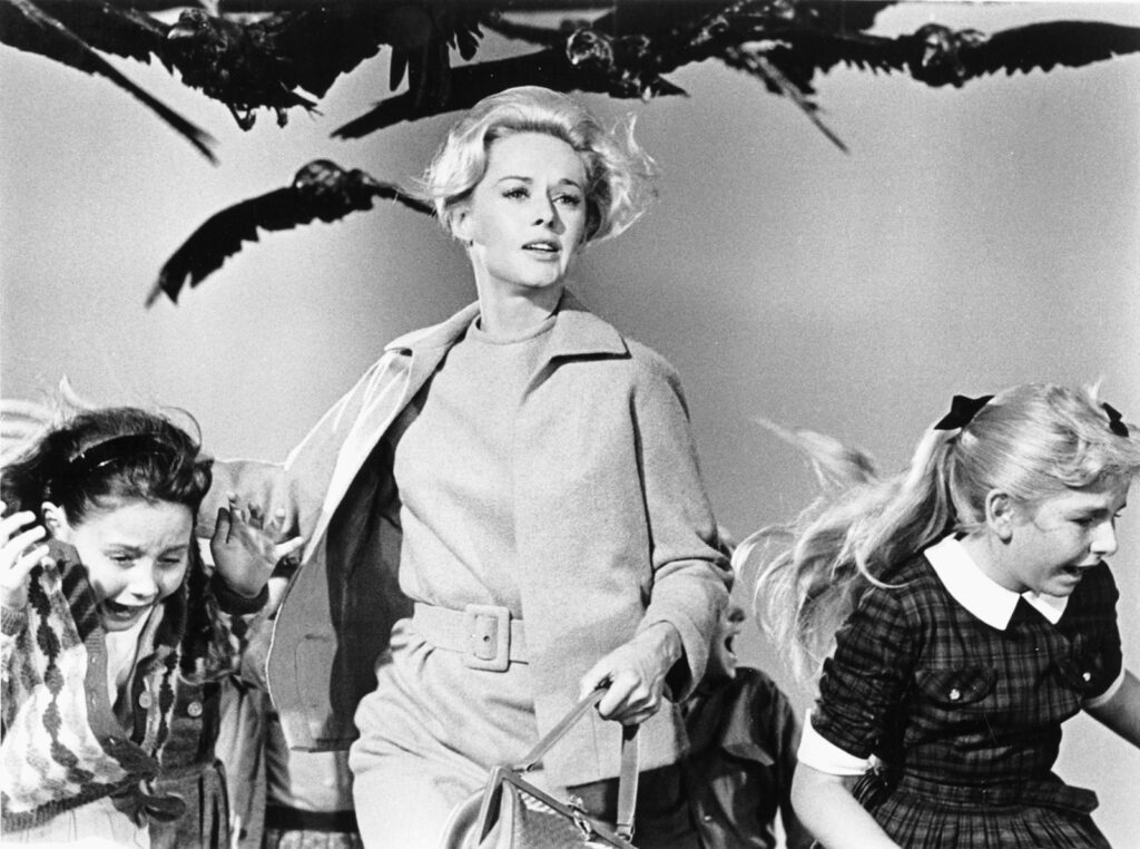The Birds películas de terror