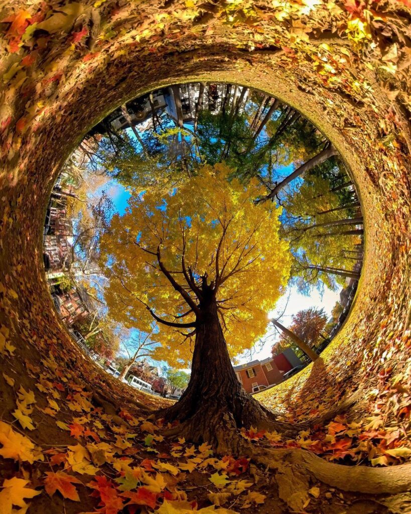 Fotos otoño invierno go pro 