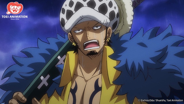 trafalgar law