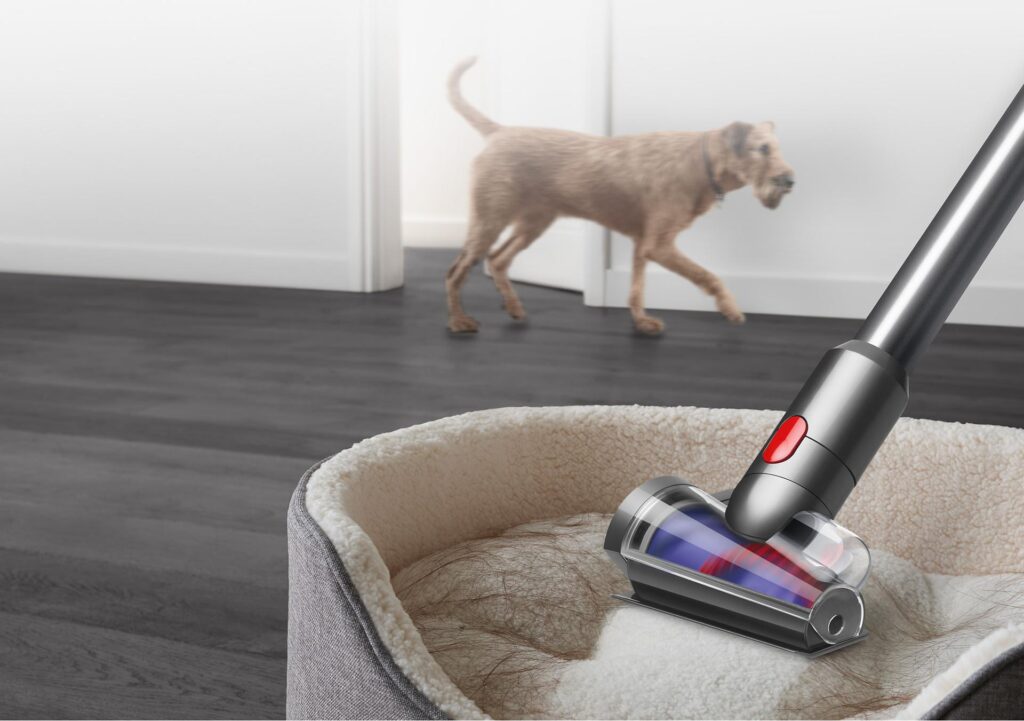 familia Dyson