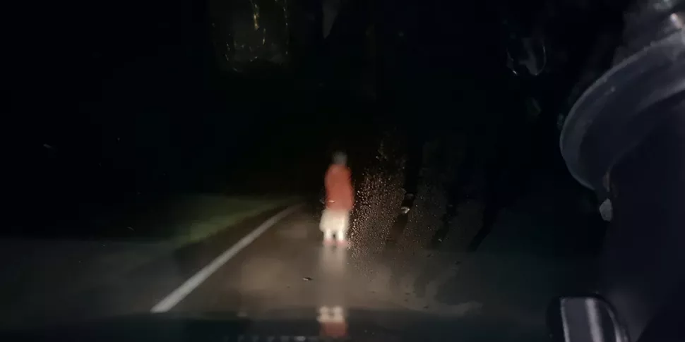 Películas terror 2022 Dashcam estreno