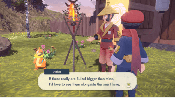Pokémon 