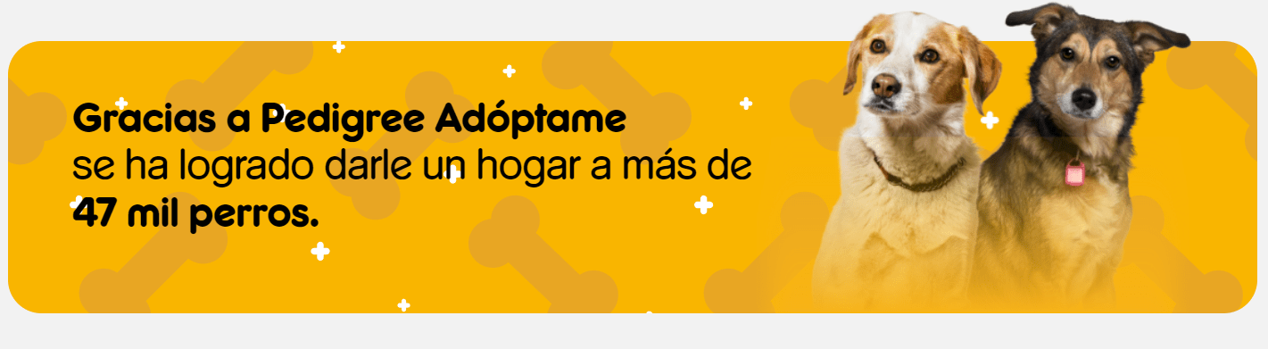 Image default