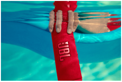 JBL Flip 6