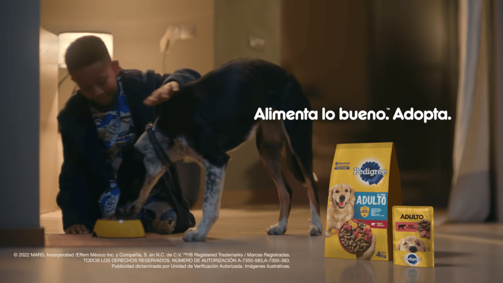 Pedigree Perros