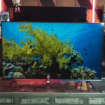 TCL MiniLED Google TV Serie R646
