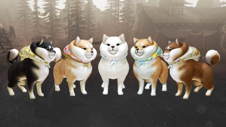 actualización Lost Ark