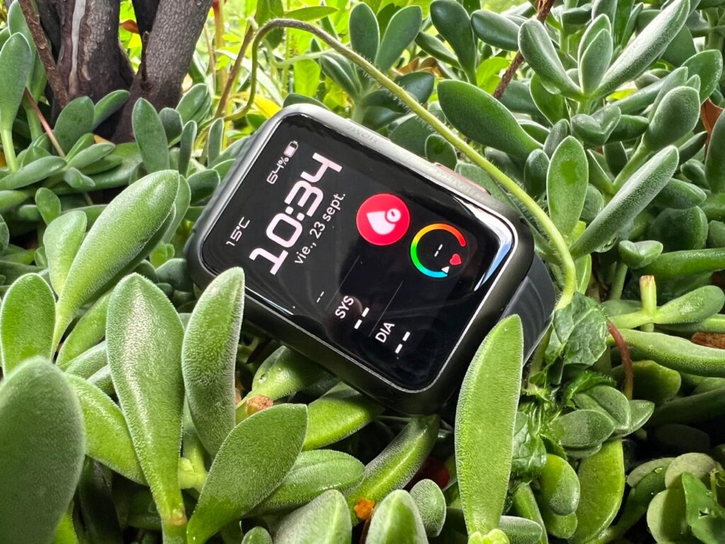 Huawei Watch D