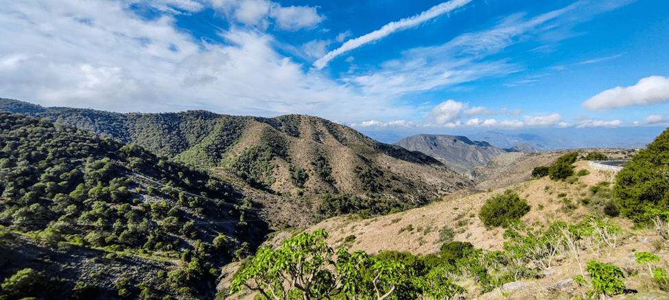 Honor 70 México