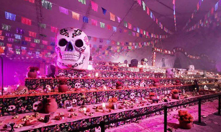 Día de Muertos GoPro
