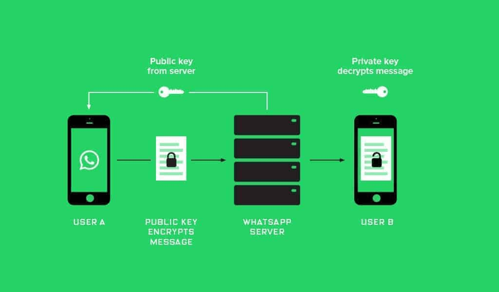 WhatsApp Business API