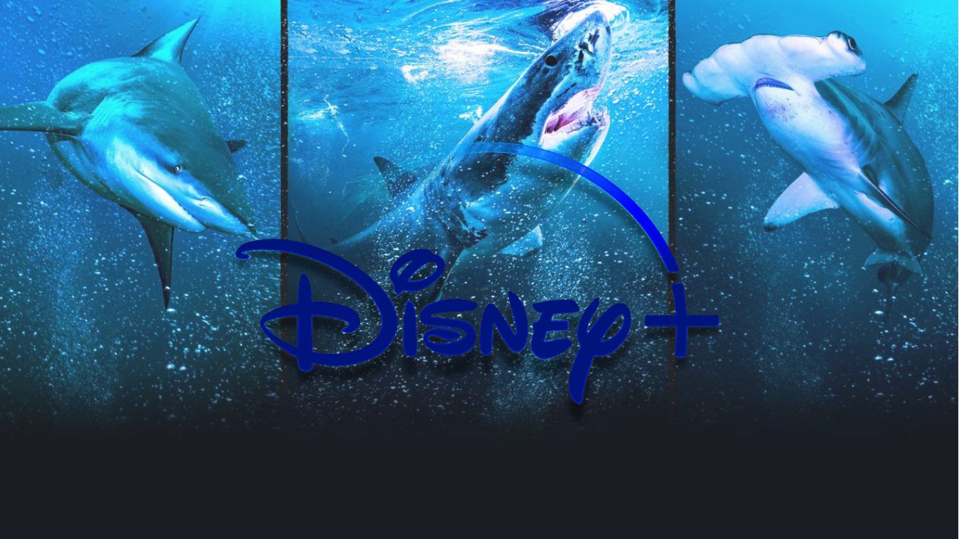 Image default