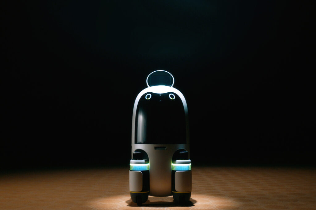  robots de entrega Hyundai