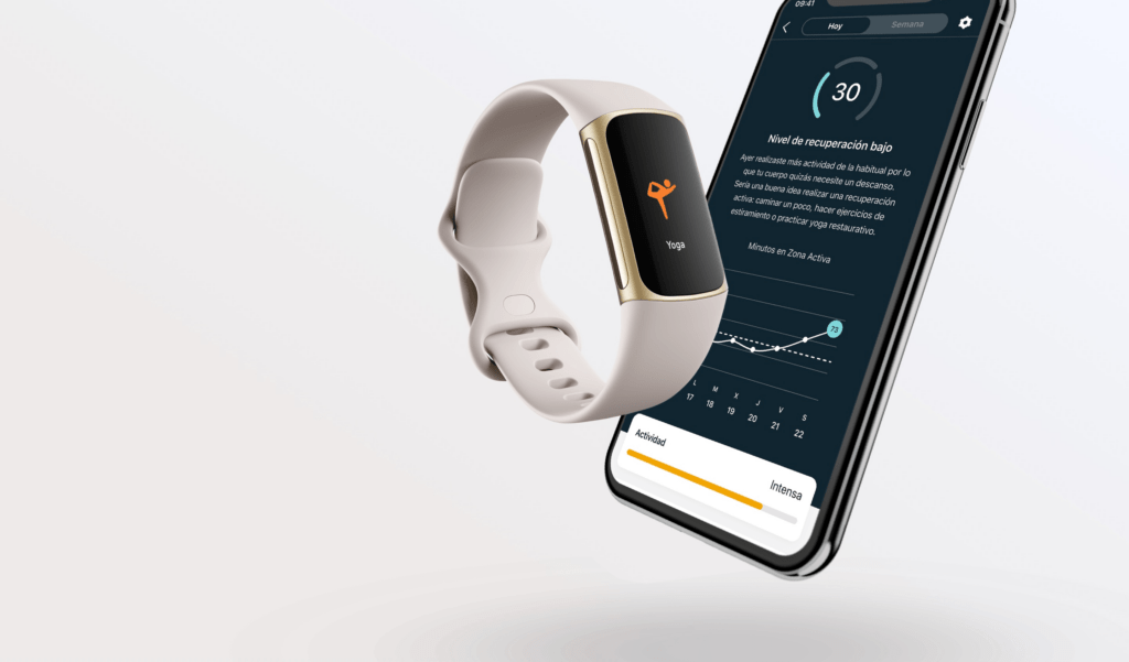 Fitbit 2022