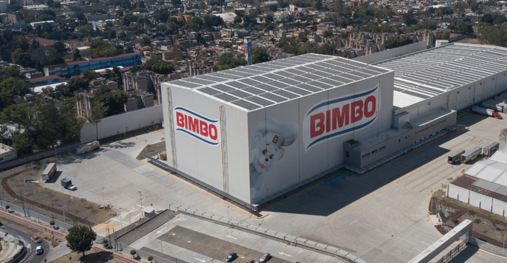 Bimbo y Microsoft