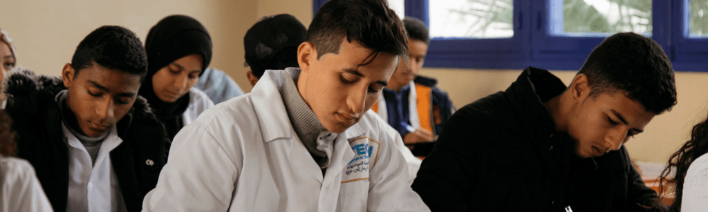 IBM desarrollo STEM