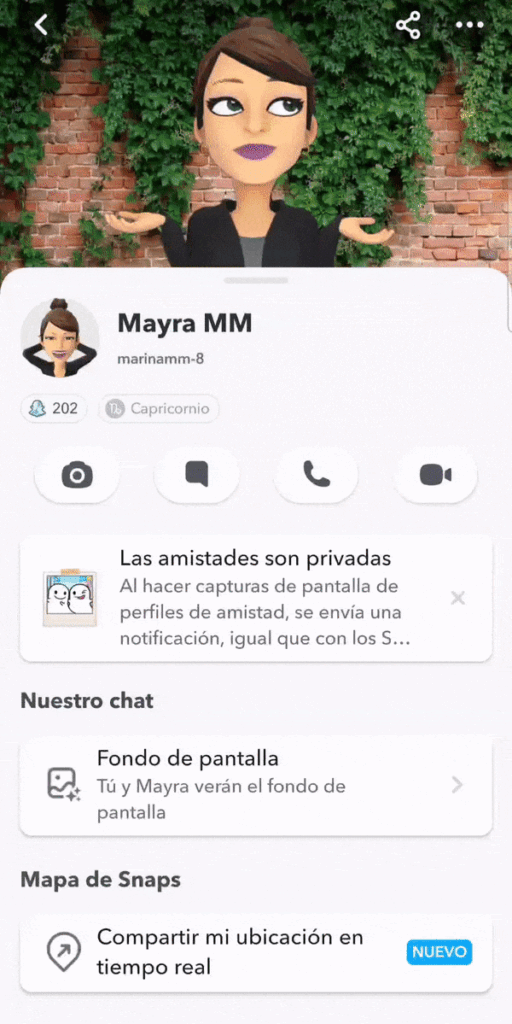 Hacer snapchat