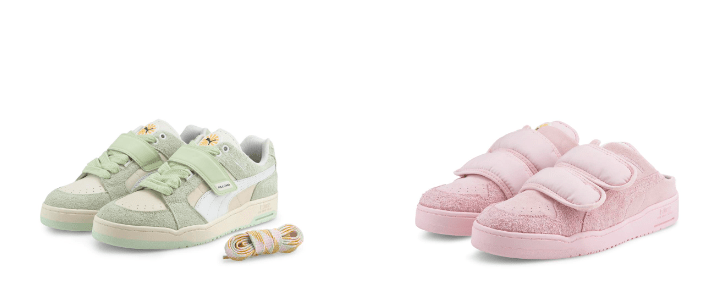 Puma Palomo