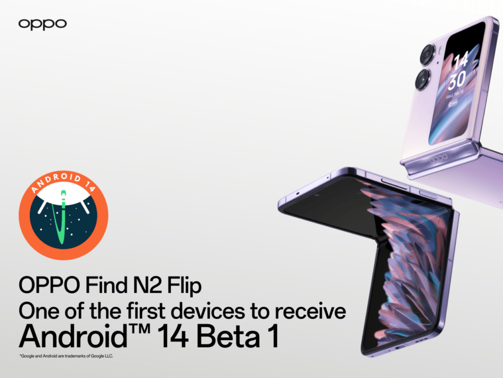 Find N2 Flip funciones