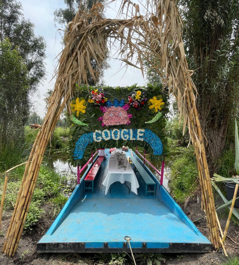 Google doodle ajolotes xochimilco