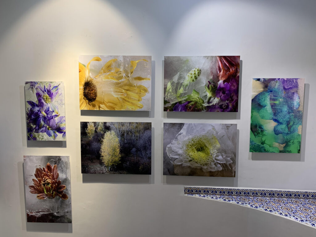 Canon México Art Collection
