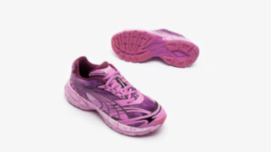 Puma y Pleasures