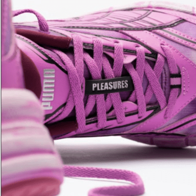 Puma y Pleasures