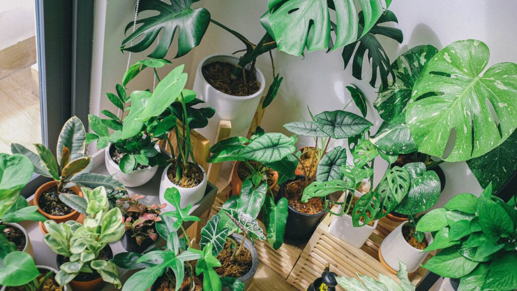 Home Depot tips para refrescar hogar