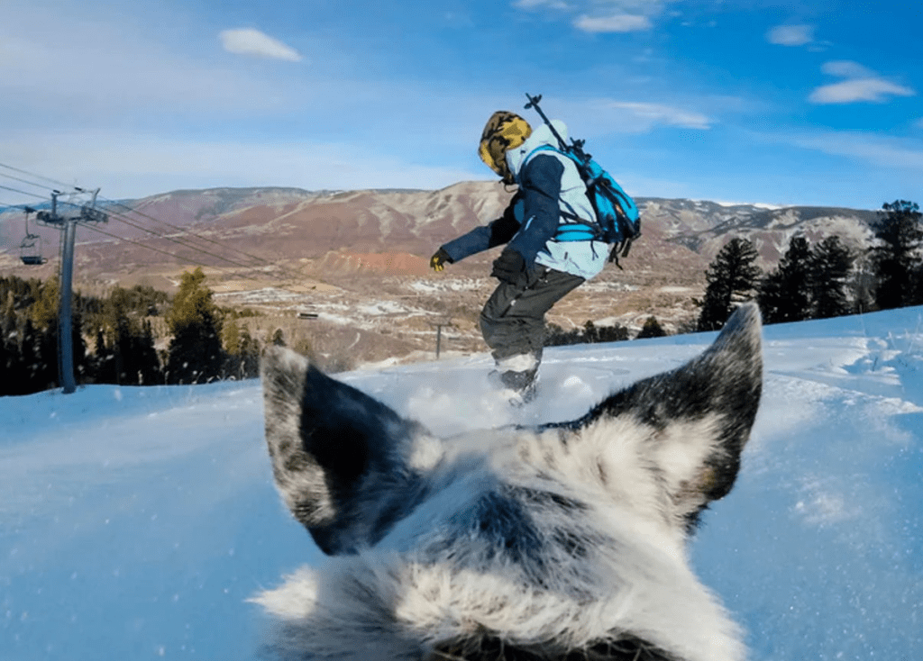 Día perro vídeo GoPRO