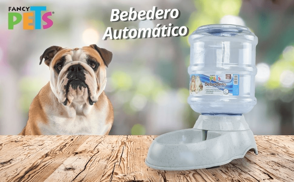 Día Mundial del Perro