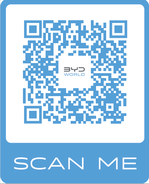 BYD World