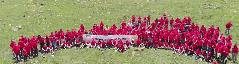 reforestación LG México