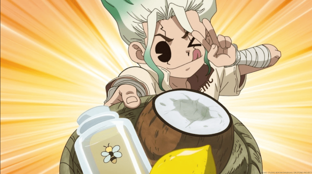Dr. Stone new World