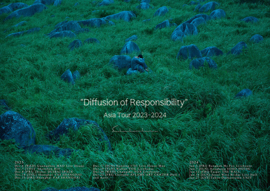 She Her diffusion responsibility