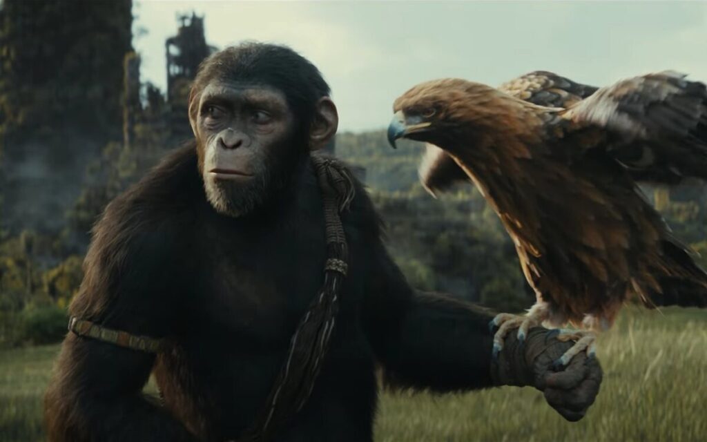 Planeta Simios Nuevo reino